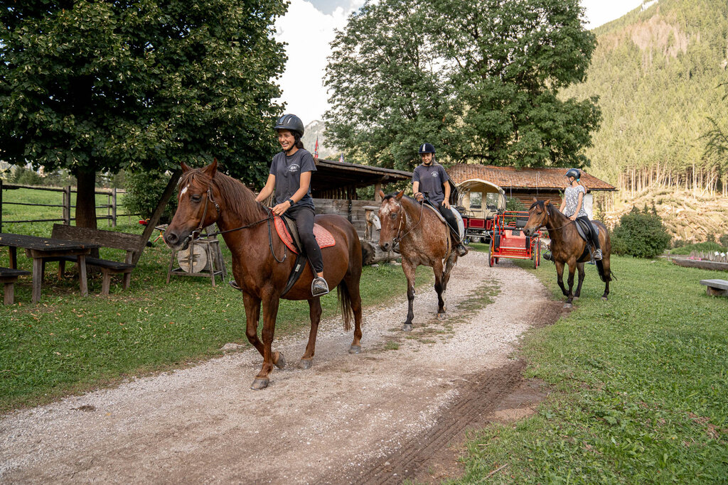 Content Dam Org 3 Images Full Rights Outdoor Equitazione   Maneggi Horse Ranch Highland Cattle Horse Ranch Highland Cattle Vigo Archivio Apt Val Di Fassa Mrizzi 01