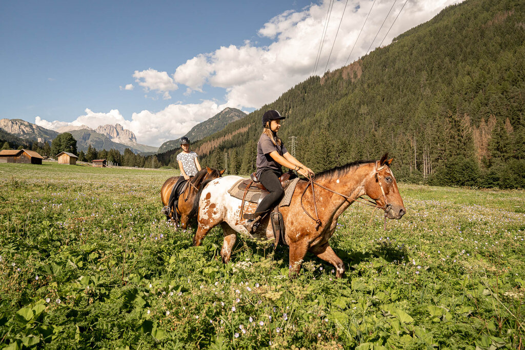 Content Dam Org 3 Images Full Rights Outdoor Equitazione   Maneggi Horse Ranch Highland Cattle Horse Ranch Highland Cattle Vigo Archivio Apt Val Di Fassa Mrizzi 02