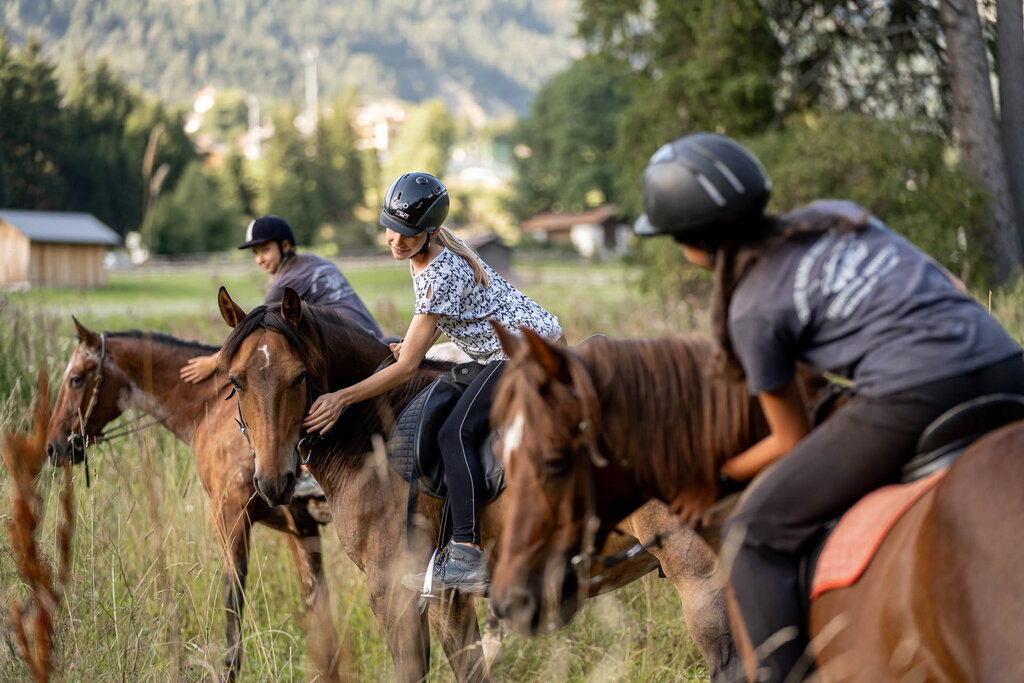 Content Dam Org 3 Images Full Rights Outdoor Equitazione   Maneggi Horse Ranch Highland Cattle Horse Ranch Highland Cattle Vigo Archivio Apt Val Di Fassa Mrizzi 03