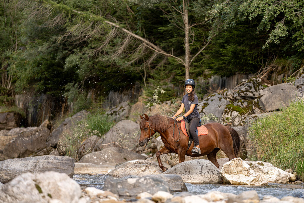 Content Dam Org 3 Images Full Rights Outdoor Equitazione   Maneggi Horse Ranch Highland Cattle Horse Ranch Highland Cattle Vigo Archivio Apt Val Di Fassa Mrizzi 06
