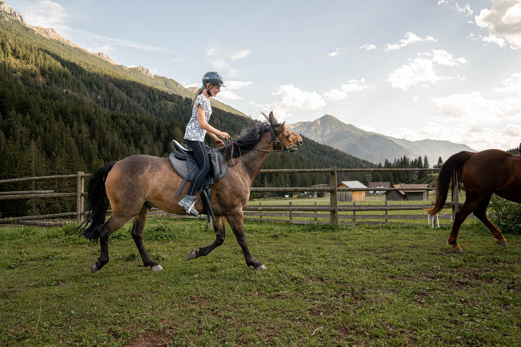 Content Dam Org 3 Images Full Rights Outdoor Equitazione   Maneggi Horse Ranch Highland Cattle Horse Ranch Highland Cattle Vigo Archivio Apt Val Di Fassa Mrizzi 07
