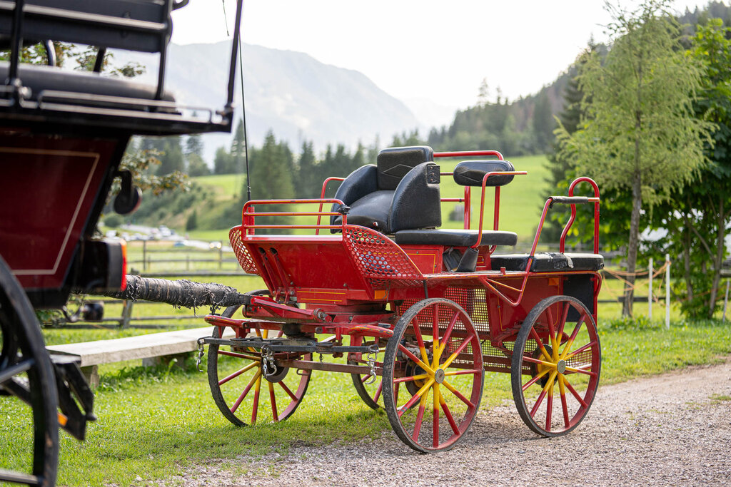 Content Dam Org 3 Images Full Rights Outdoor Equitazione   Maneggi Horse Ranch Highland Cattle Horse Ranch Highland Cattle Vigo Archivio Apt Val Di Fassa Mrizzi 08