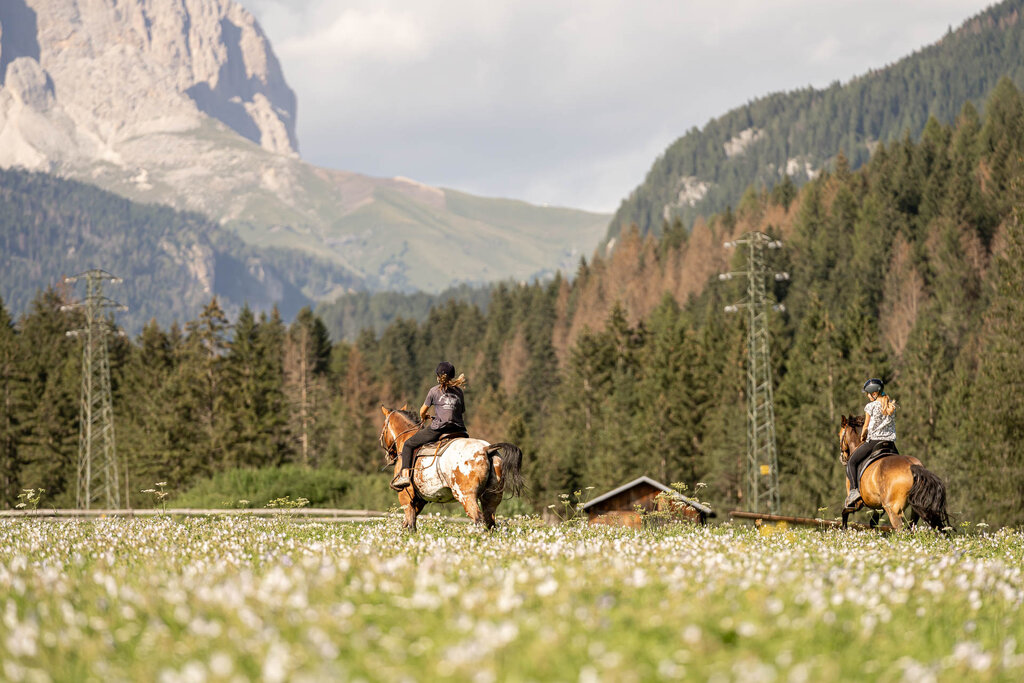 Content Dam Org 3 Images Full Rights Outdoor Equitazione   Maneggi Horse Ranch Highland Cattle Horse Ranch Highland Cattle Vigo Archivio Apt Val Di Fassa Mrizzi 14